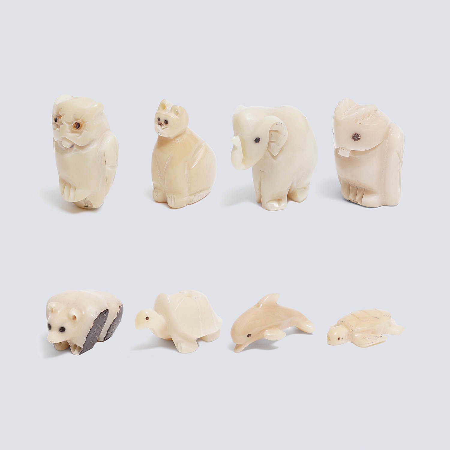 Animaletti piccoli vari soggetti