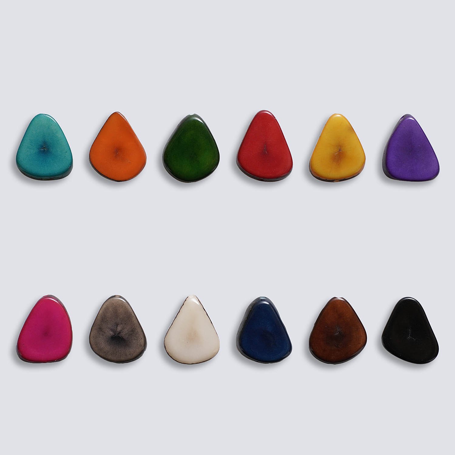 Tagua colorata Fetta