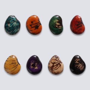 Tagua colorata Mitagua