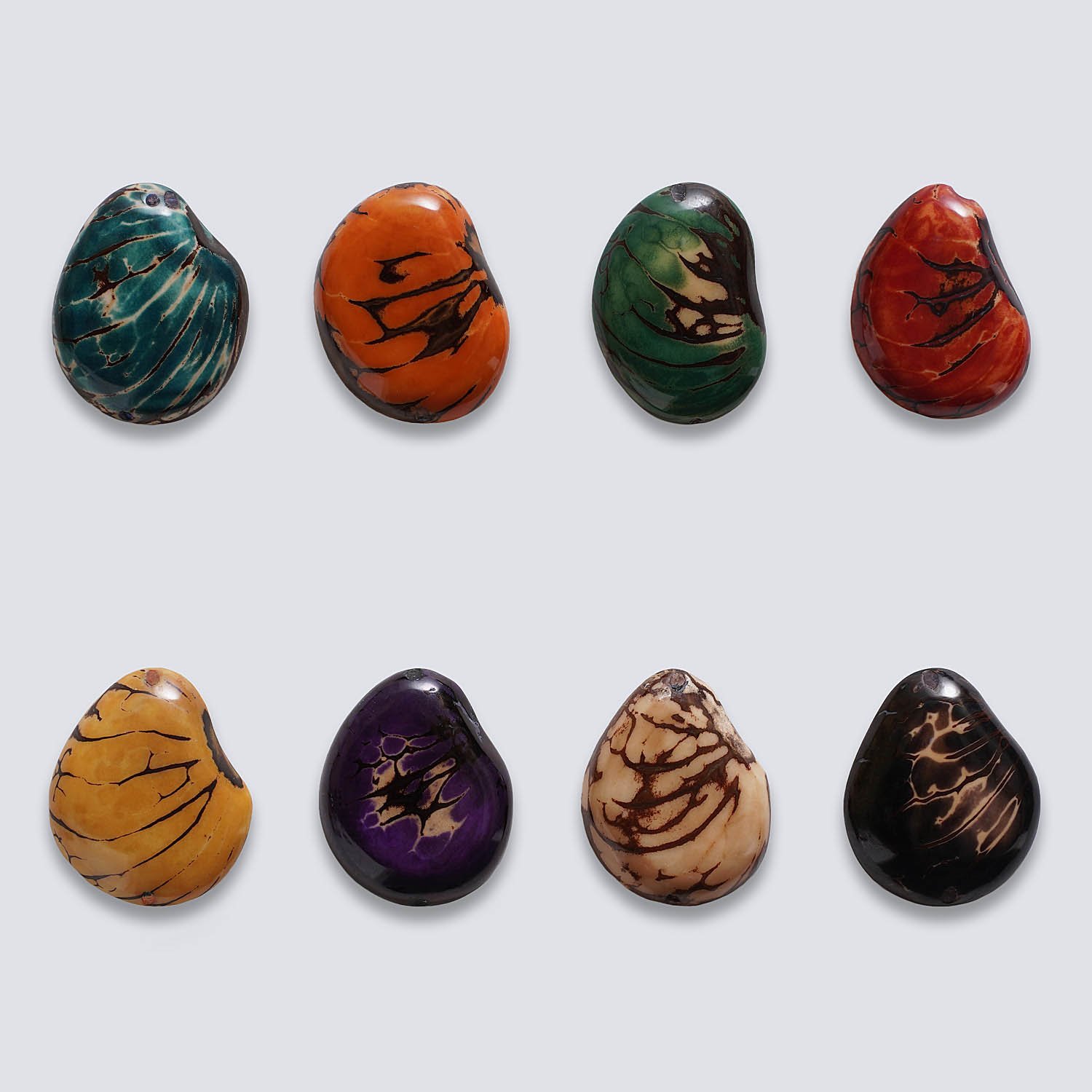 Tagua colorata Mitagua