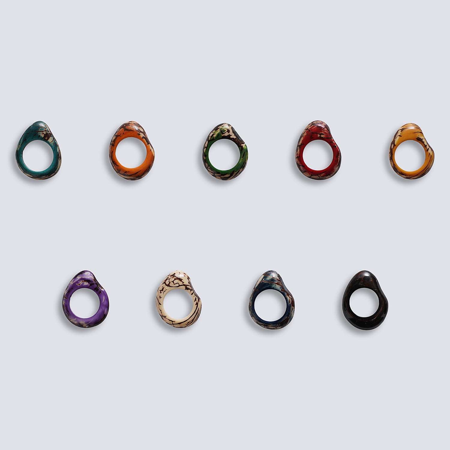 Tagua colorata Orbita