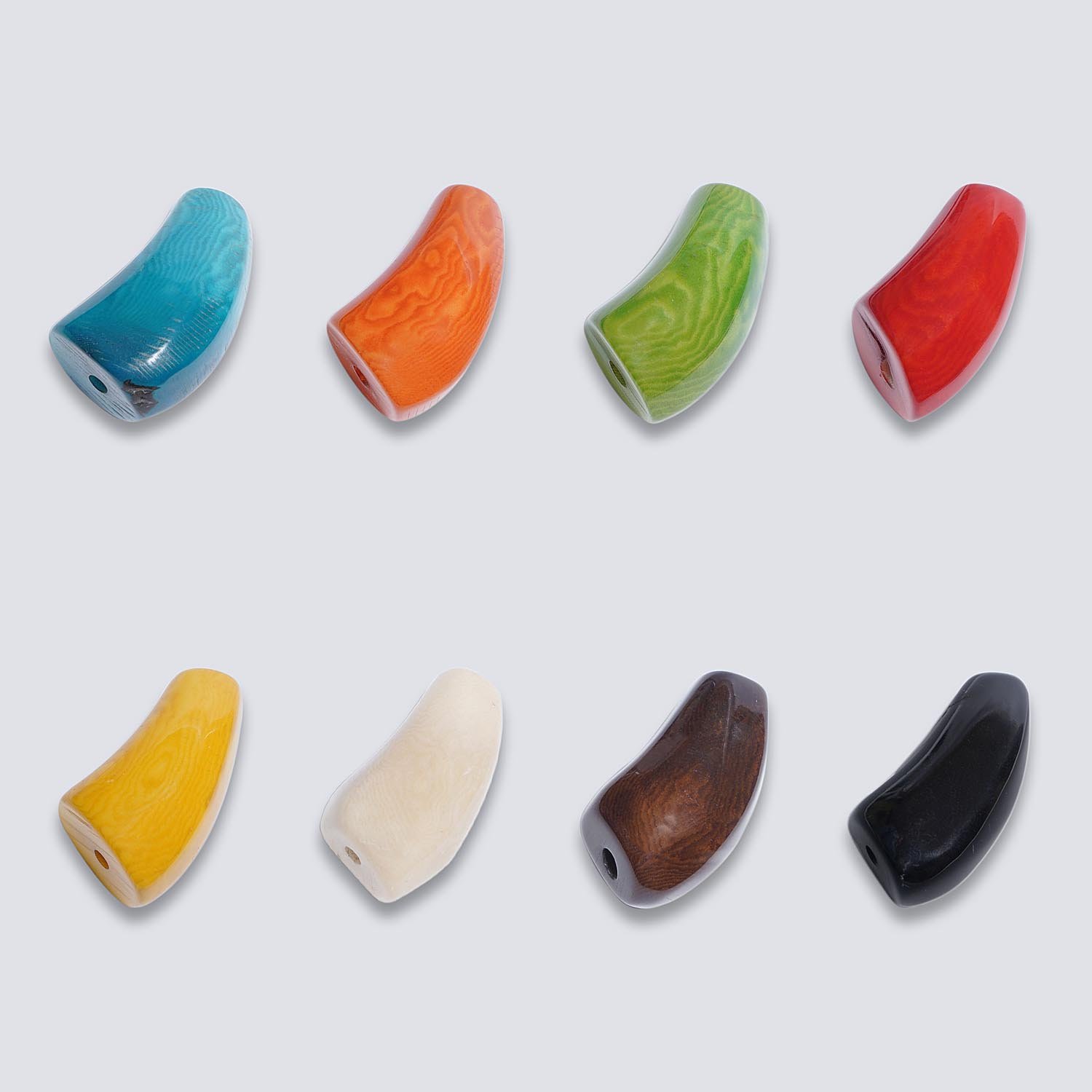 Tagua colorata Corno