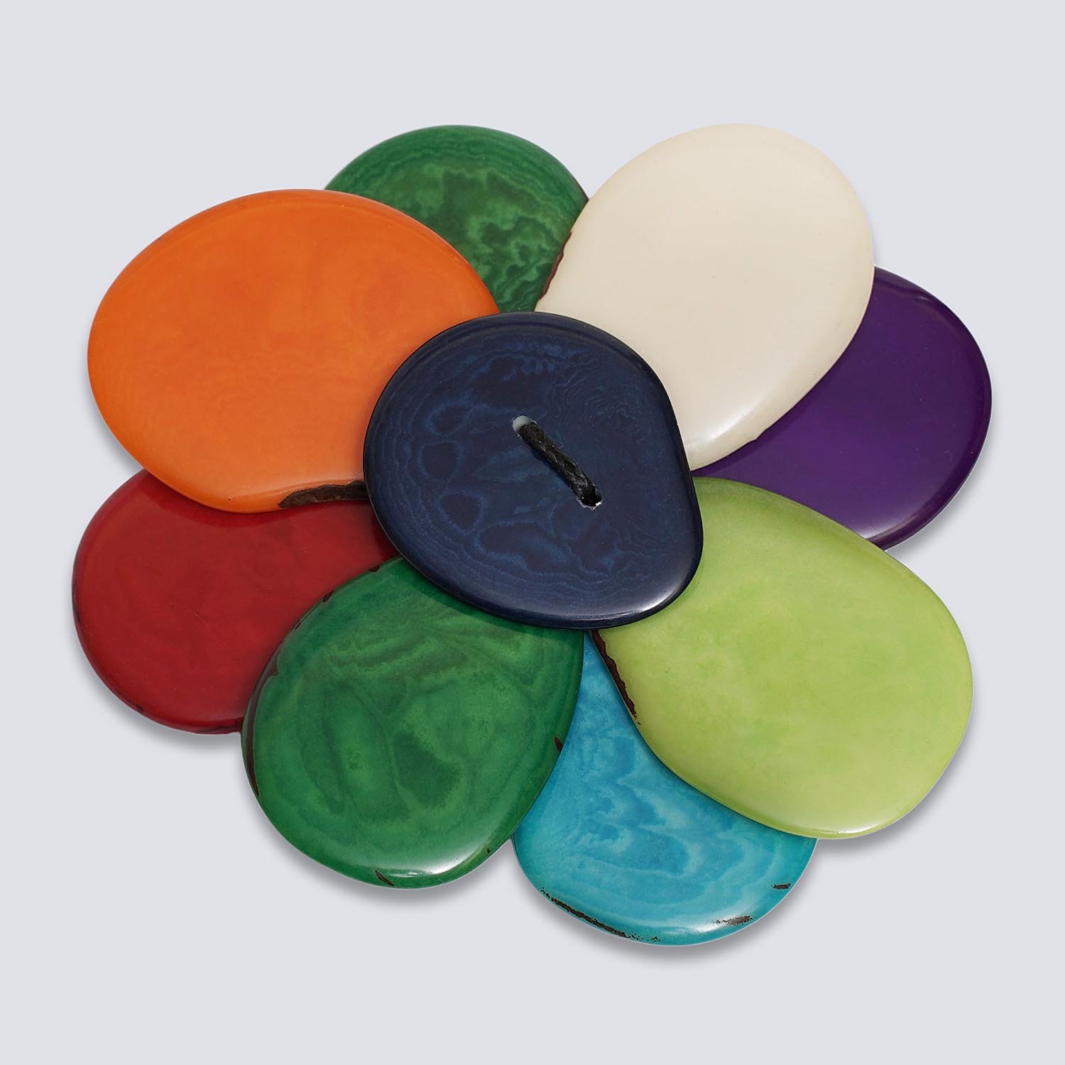 Margherita multicolor