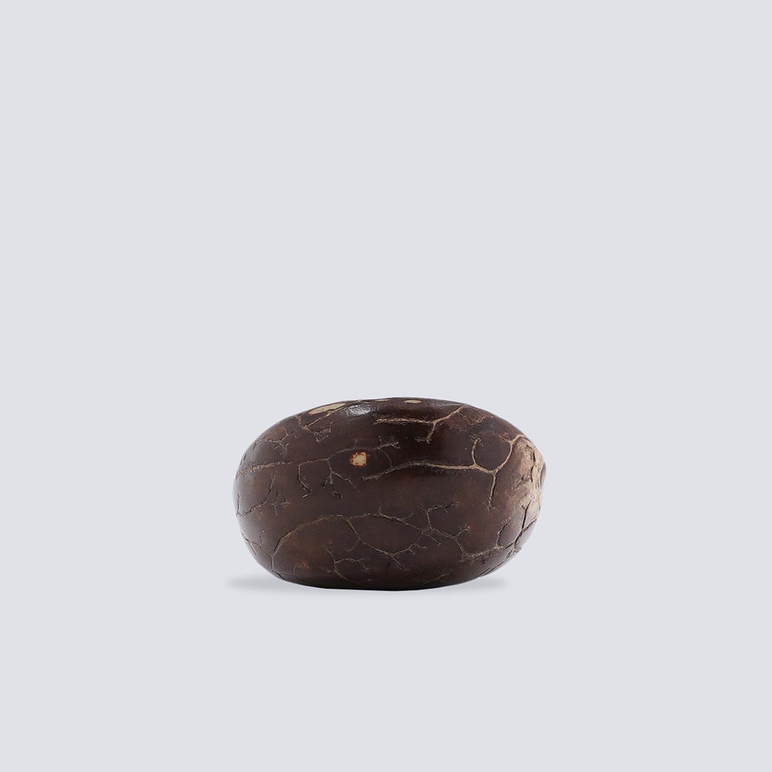 ANL_099-1 Anelli Tagua Selva