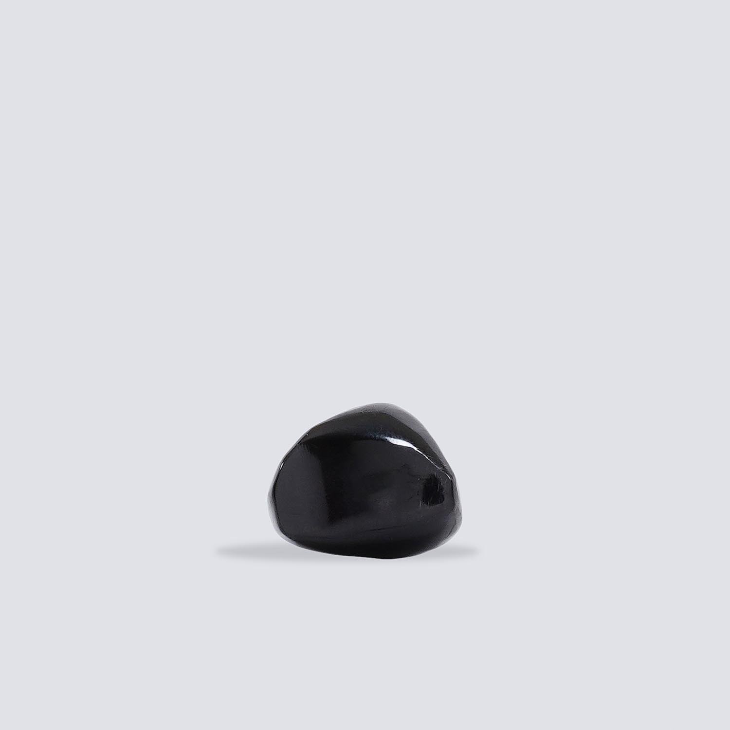 Anelli Tagua Selva Anelli Tagua Selva