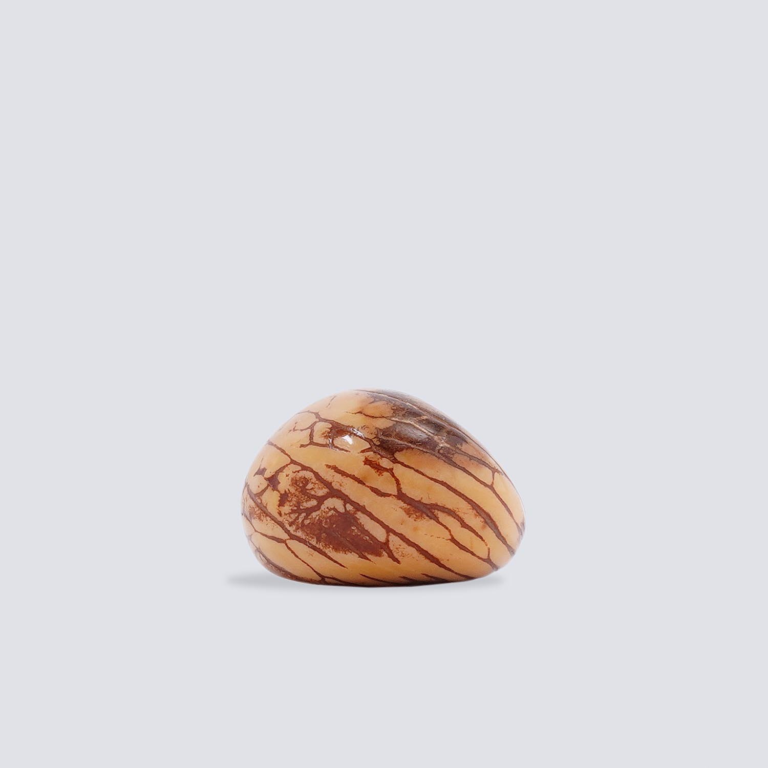 Anelli Tagua Selva Anelli Tagua Selva