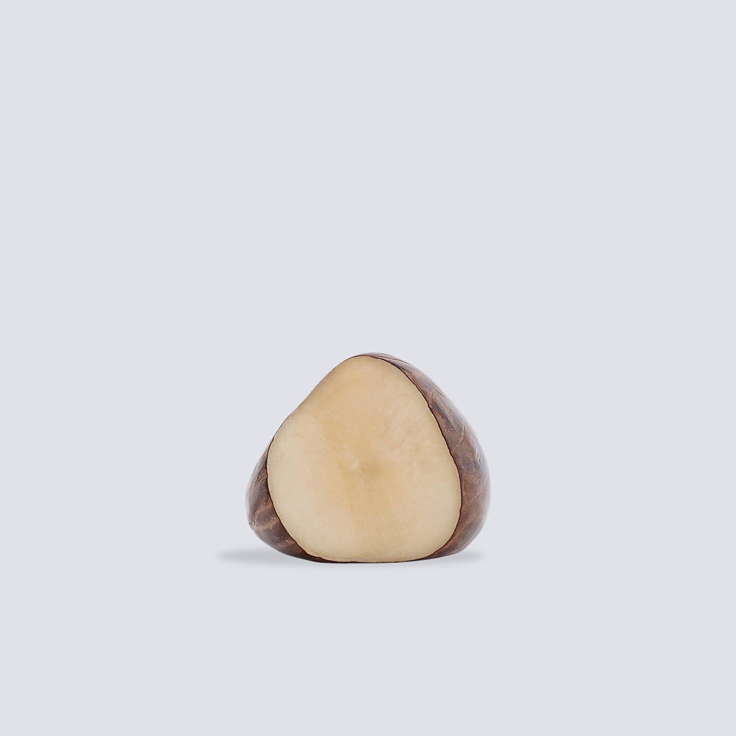 Anelli Tagua Selva Anelli Tagua Selva