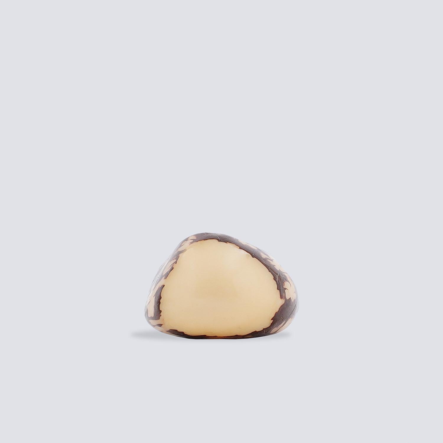 Anelli Tagua Selva Anelli Tagua Selva