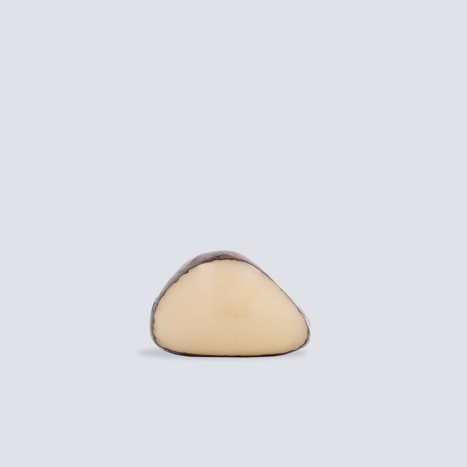 Anelli Tagua Selva Anelli Tagua Selva