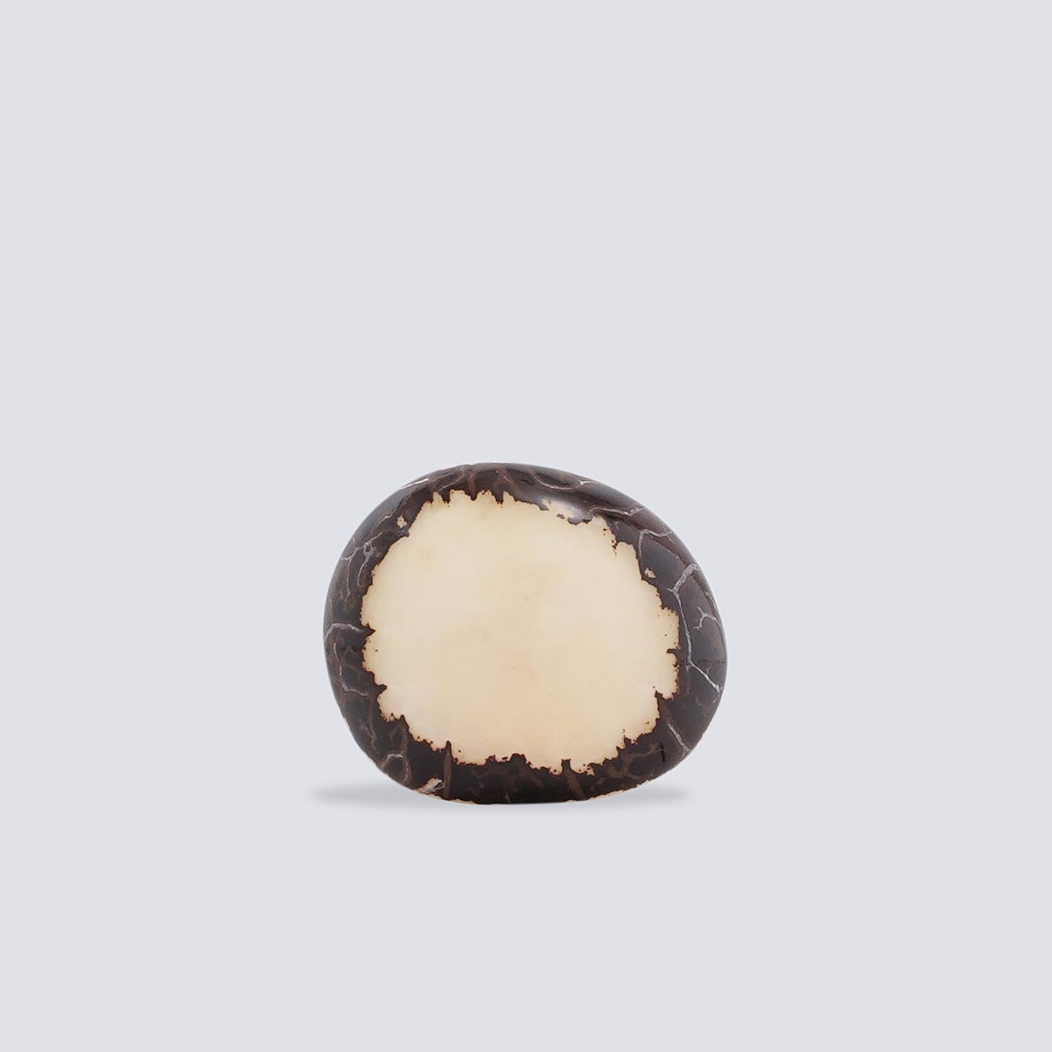 Anelli Tagua Full Moon avorio Anelli Tagua Full Moon avorio